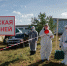 Памятка по профилактике африканской чумы свиней - Камско-Устьинский район