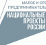 Объем финансовой поддержки бизнеса Татарстана по нацпроекту в первом полугодии составил 620 млн рублей - Камско-Устьинский район
