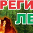 Штормовое предупреждение о высокой и чрезвычайной пожарной опасности лесов на территории Республики Татарстан - Камско-Устьинский район