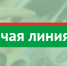 Телефонная «горячая линия» по вопросам защиты прав граждан с инвалидностью - Камско-Устьинский район